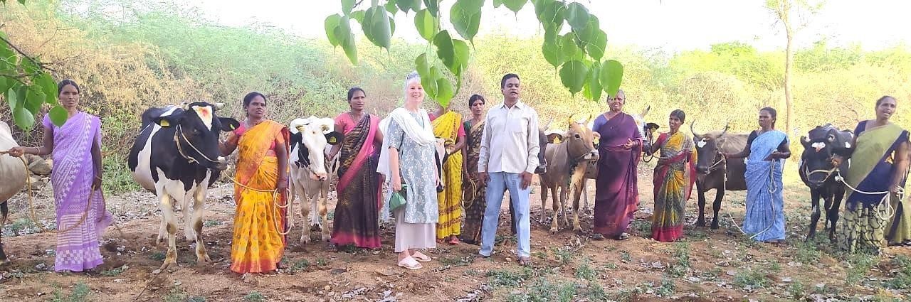 Women of the Holy Cow programme with their cows
